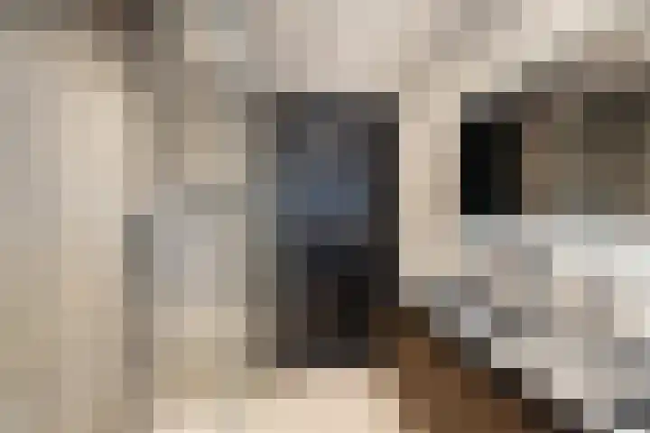 Zilvervloot 18 Rhoon thumbnail 4