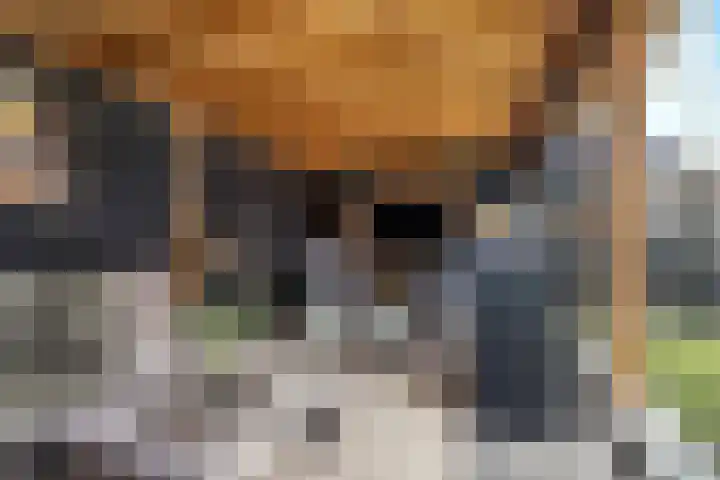 Zilvervloot 18 Rhoon thumbnail 49