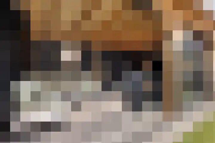 Zilvervloot 18 Rhoon thumbnail 5