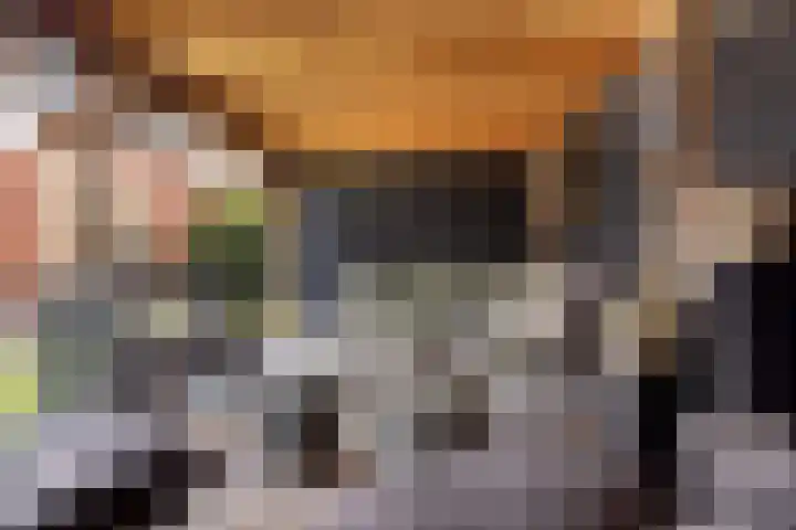 Zilvervloot 18 Rhoon thumbnail 51