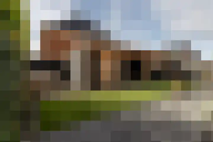 Zilvervloot 18 Rhoon thumbnail 52