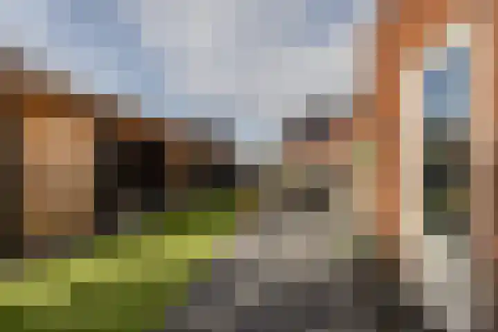 Zilvervloot 18 Rhoon thumbnail 53