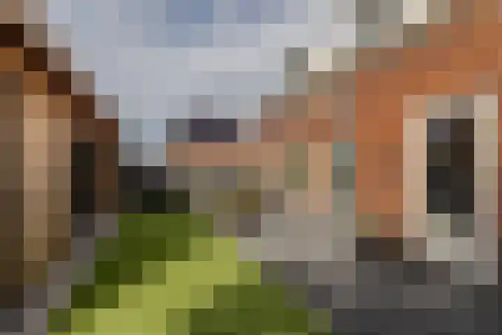Zilvervloot 18 Rhoon thumbnail 54