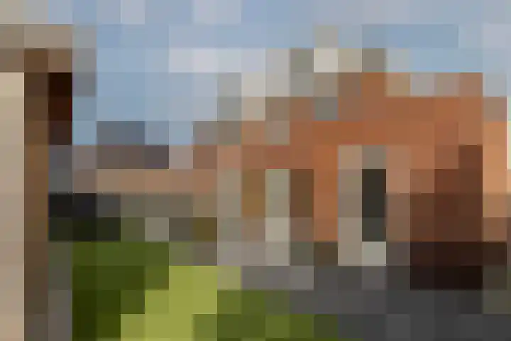 Zilvervloot 18 Rhoon thumbnail 55