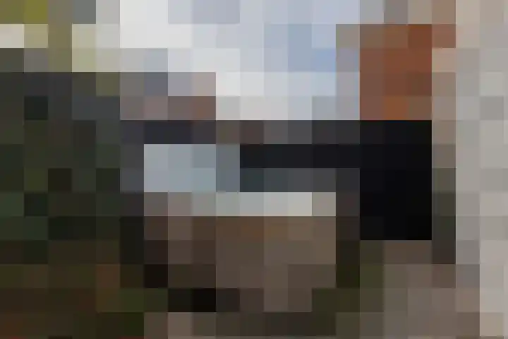 Zilvervloot 18 Rhoon thumbnail 56