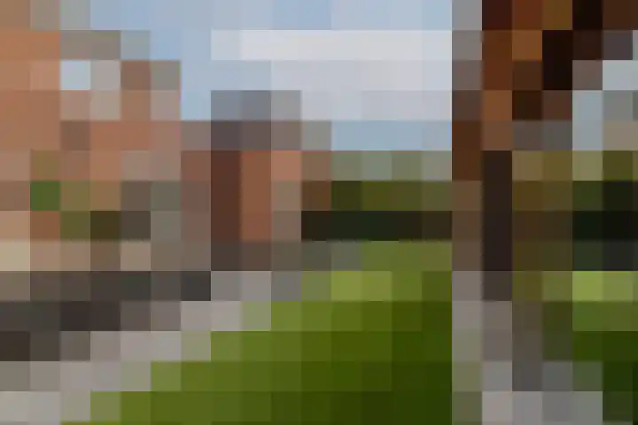 Zilvervloot 18 Rhoon thumbnail 58