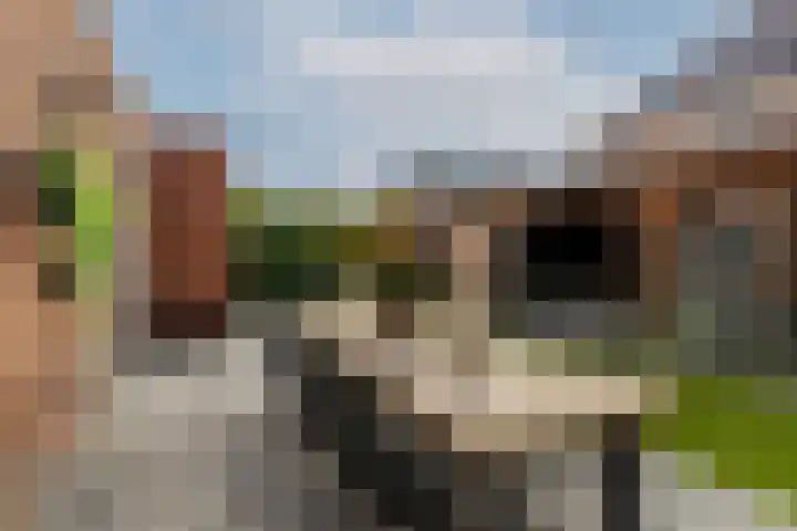 Zilvervloot 18 Rhoon thumbnail 6