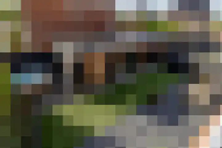Zilvervloot 18 Rhoon thumbnail 60