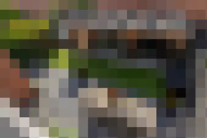 Zilvervloot 18 Rhoon thumbnail 61