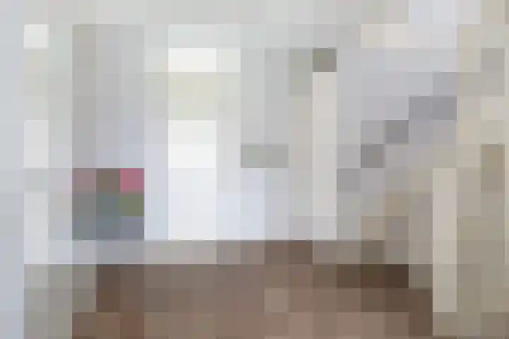 Zilvervloot 44 Rhoon thumbnail 21