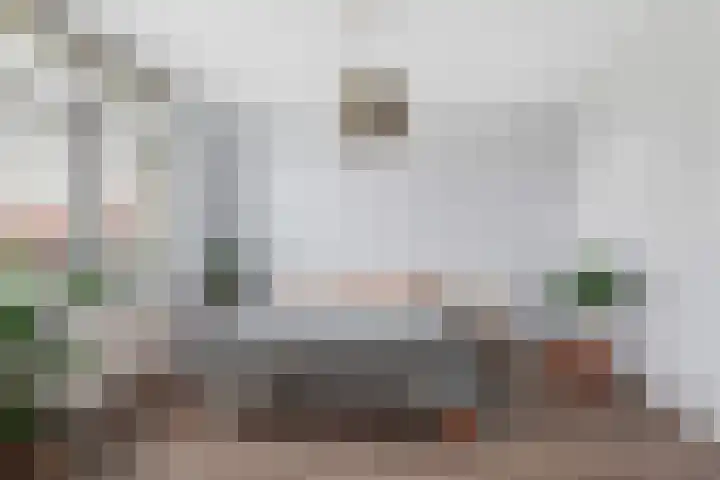 Zilvervloot 44 Rhoon thumbnail 24