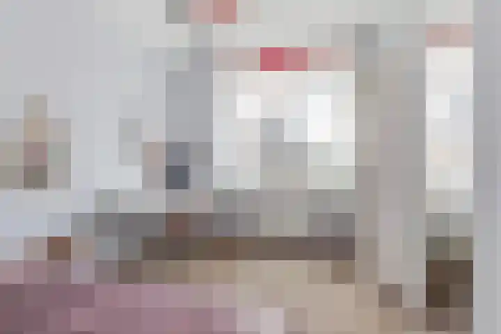 Zilvervloot 44 Rhoon thumbnail 27