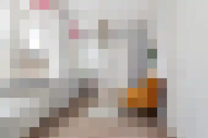 Zilvervloot 44 Rhoon thumbnail 30