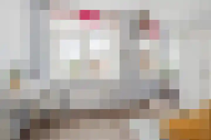 Zilvervloot 44 Rhoon thumbnail 32