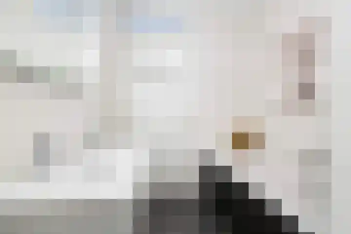 Zilvervloot 44 Rhoon thumbnail 33