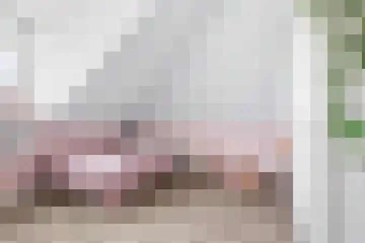 Zilvervloot 44 Rhoon thumbnail 36