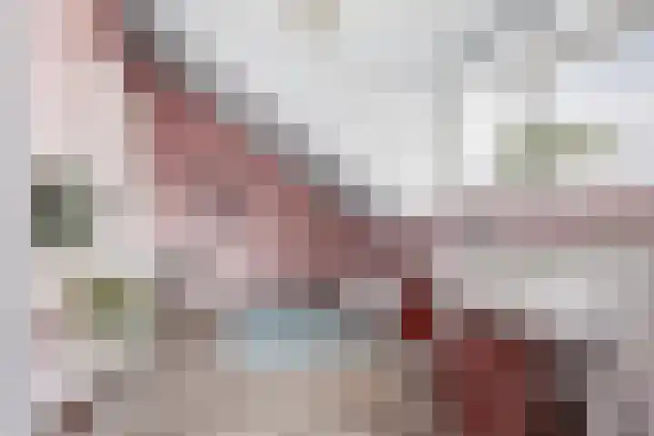 Zilvervloot 44 Rhoon thumbnail 37