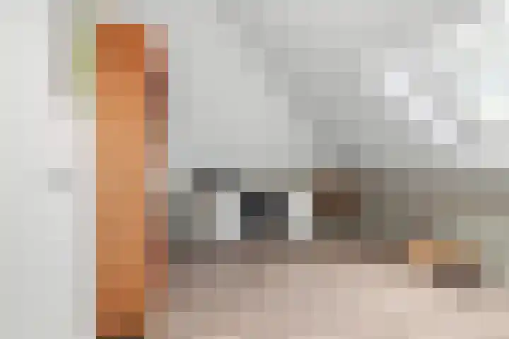 Zilvervloot 44 Rhoon thumbnail 40
