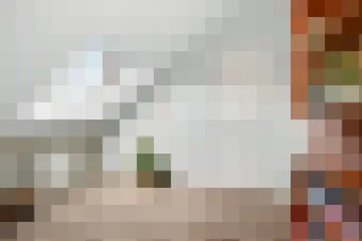 Zilvervloot 44 Rhoon thumbnail 41