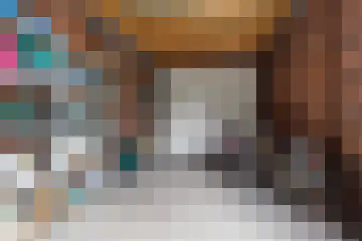 Zilvervloot 44 Rhoon thumbnail 43