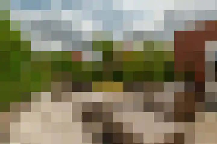 Zilvervloot 44 Rhoon thumbnail 44
