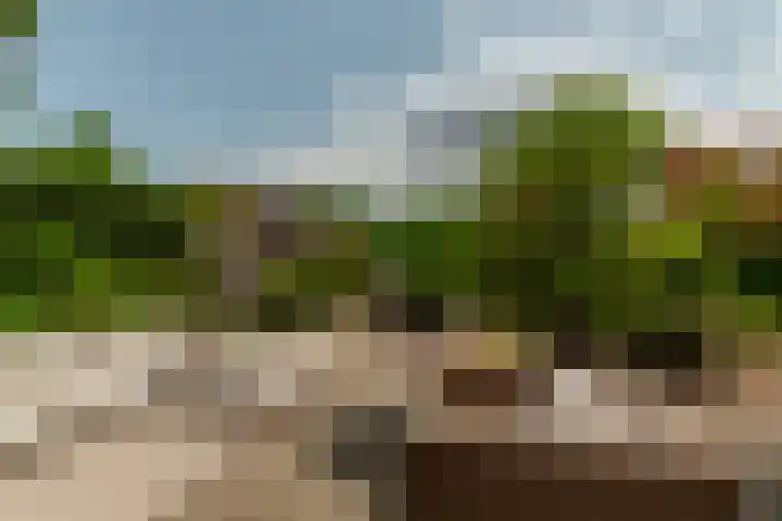 Zilvervloot 44 Rhoon thumbnail 45