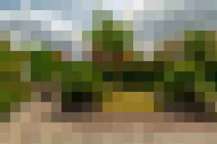 Zilvervloot 44 Rhoon thumbnail 46