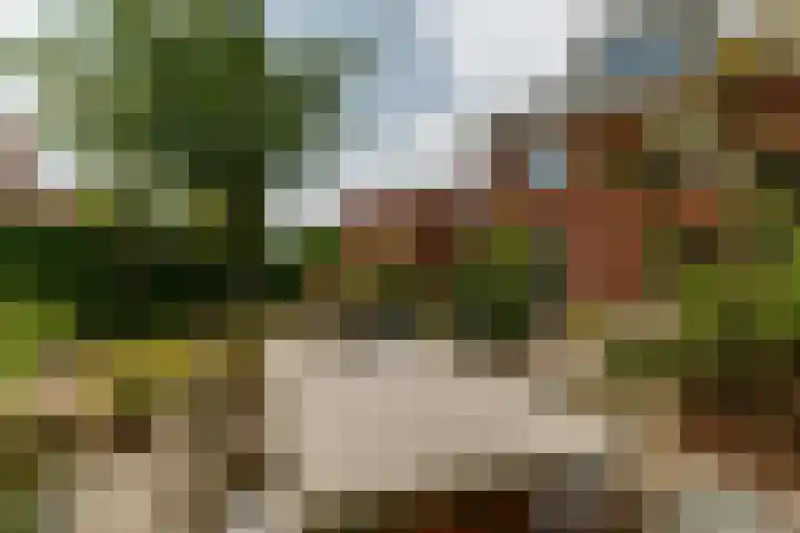 Zilvervloot 44 Rhoon thumbnail 47