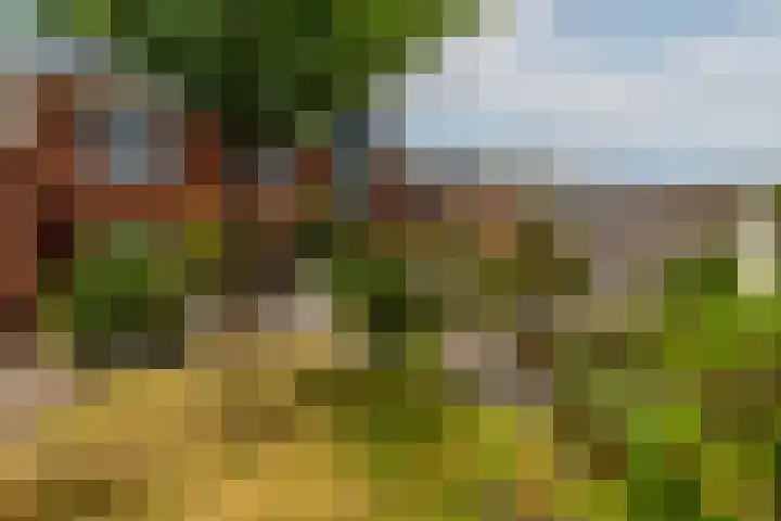 Zilvervloot 44 Rhoon thumbnail 49