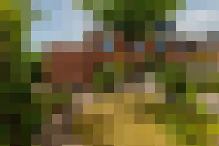Zilvervloot 44 Rhoon thumbnail 5