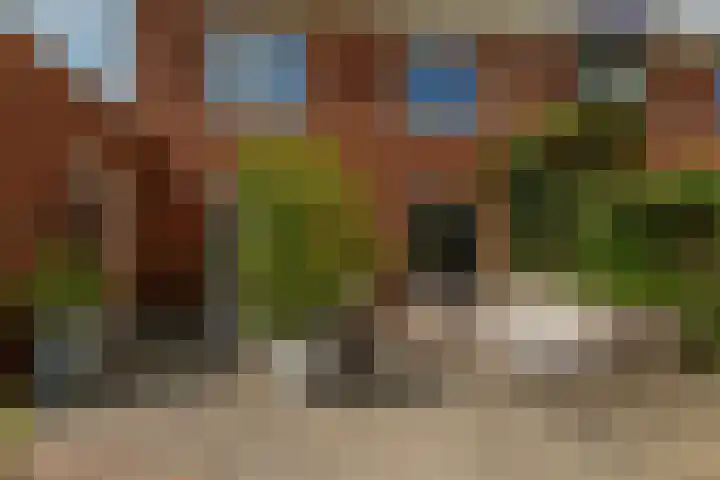 Zilvervloot 44 Rhoon thumbnail 50