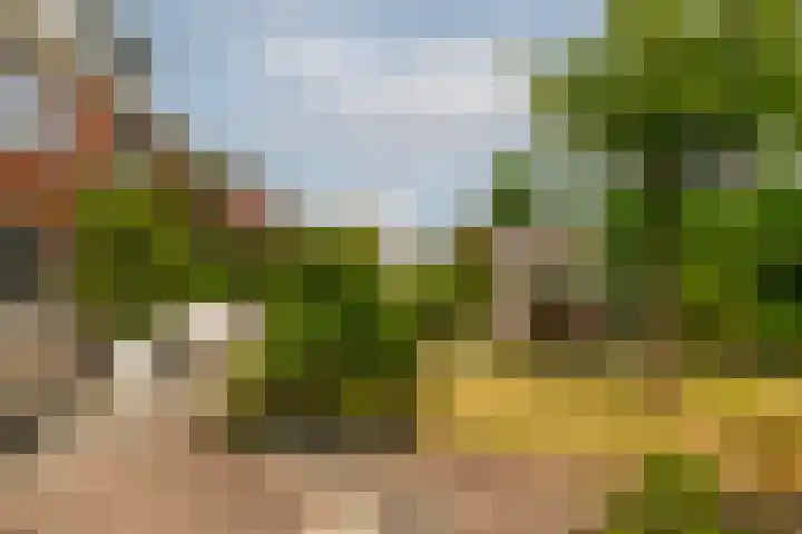 Zilvervloot 44 Rhoon thumbnail 51
