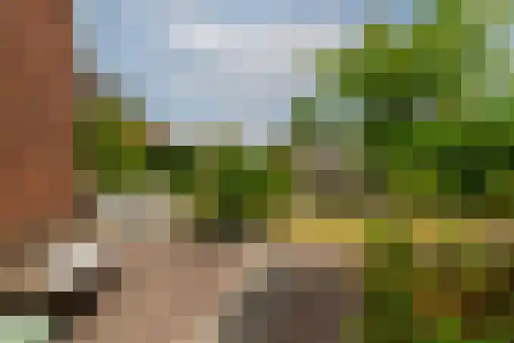 Zilvervloot 44 Rhoon thumbnail 52