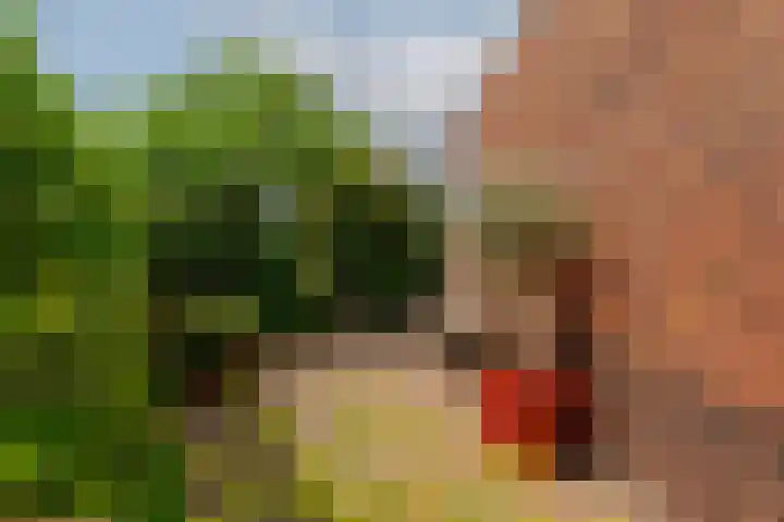 Zilvervloot 44 Rhoon thumbnail 53