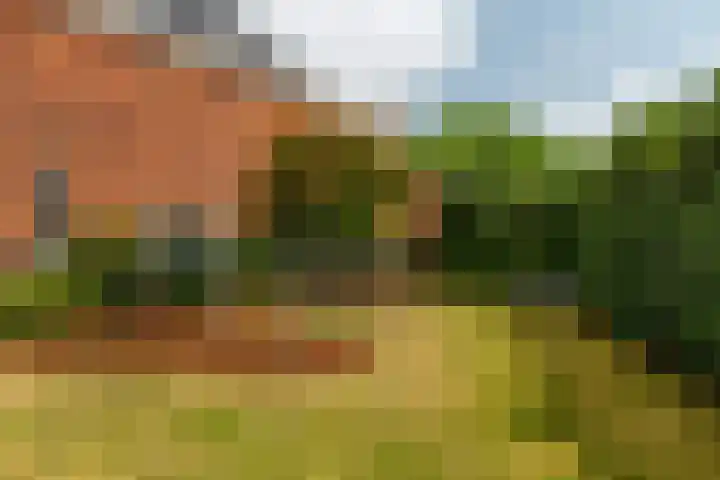 Zilvervloot 44 Rhoon thumbnail 54