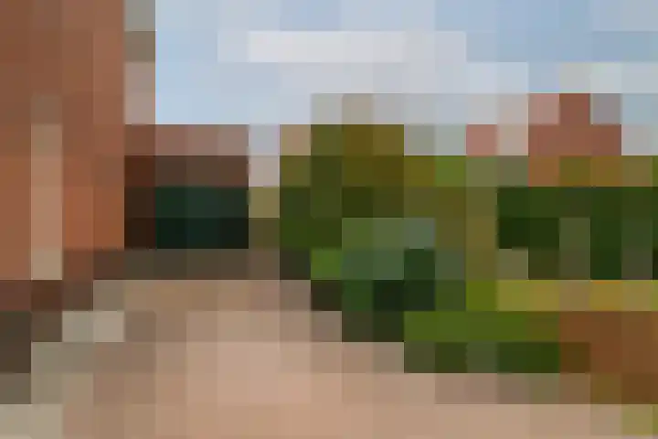 Zilvervloot 44 Rhoon thumbnail 56