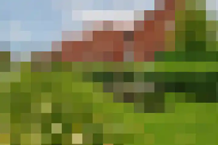 Zilvervloot 44 Rhoon thumbnail 57