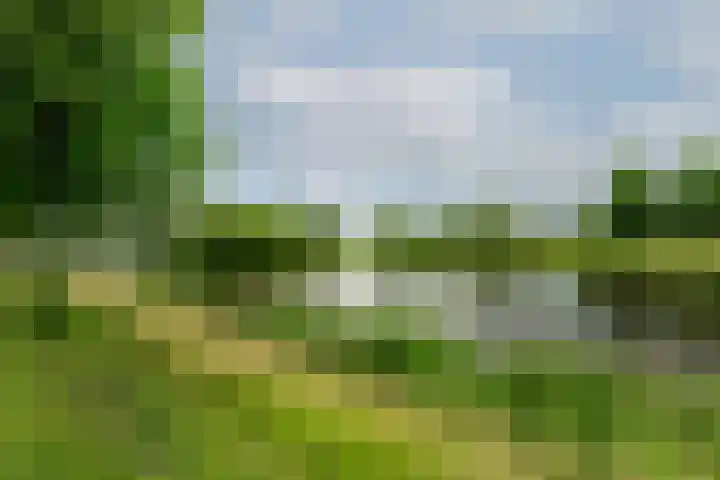 Zilvervloot 44 Rhoon thumbnail 58