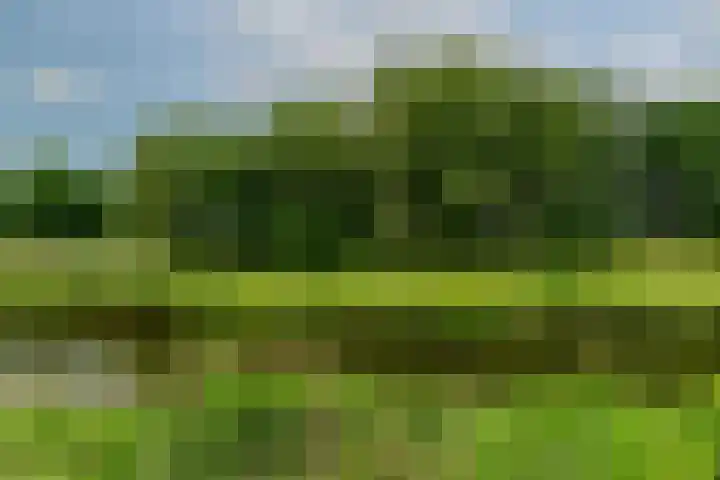 Zilvervloot 44 Rhoon thumbnail 59