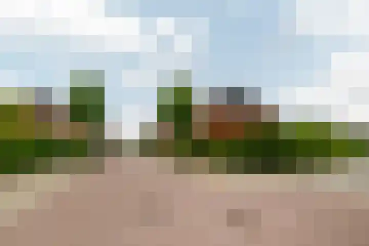 Zilvervloot 44 Rhoon thumbnail 6
