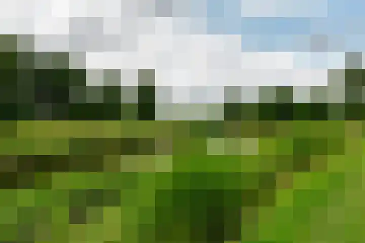 Zilvervloot 44 Rhoon thumbnail 60
