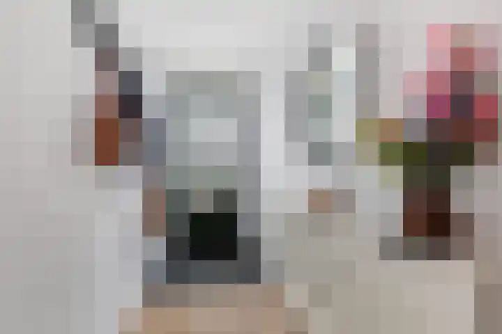 Zilvervloot 44 Rhoon thumbnail 7