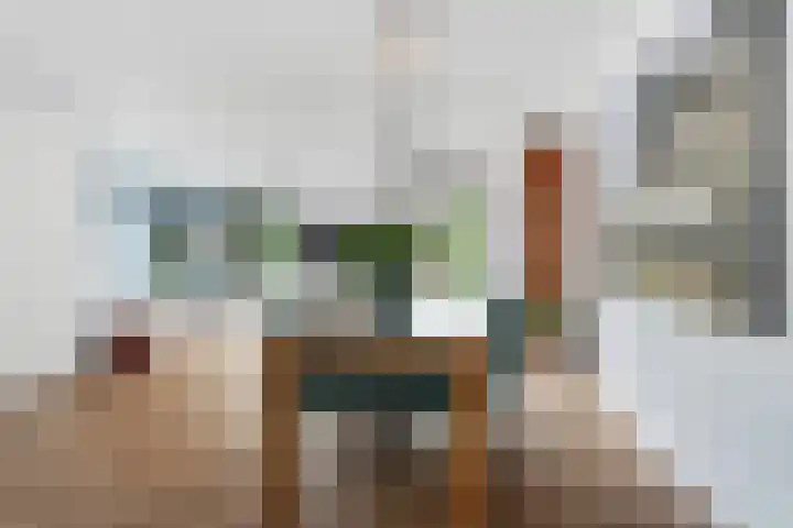 Zilvervloot 44 Rhoon thumbnail 9