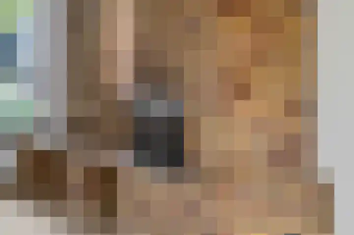 Zilvervoslaan 9 Lunteren thumbnail 11