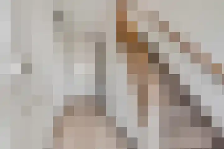 Zilvervoslaan 9 Lunteren thumbnail 17