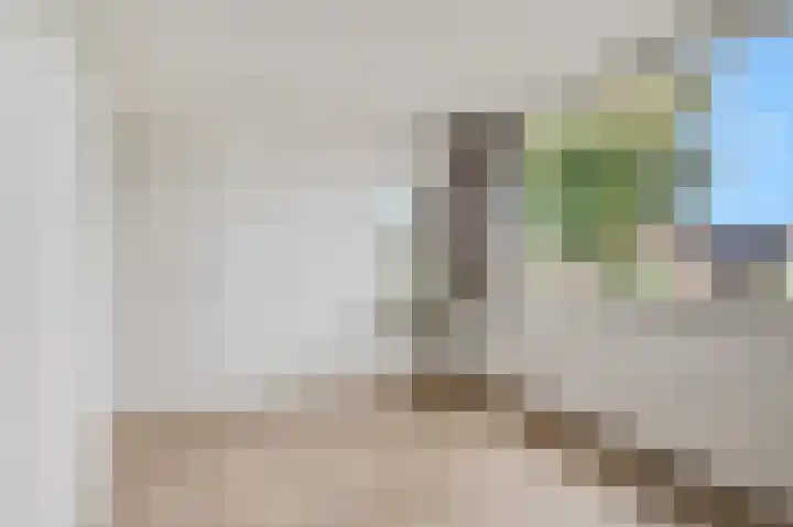 Zilvervoslaan 9 Lunteren thumbnail 25