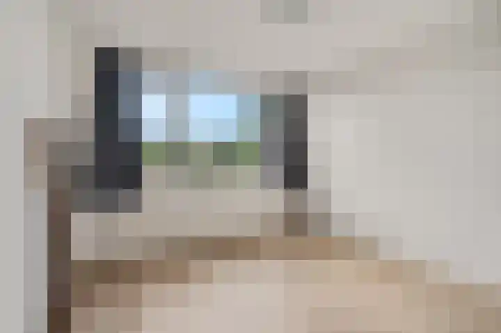 Zilvervoslaan 9 Lunteren thumbnail 26