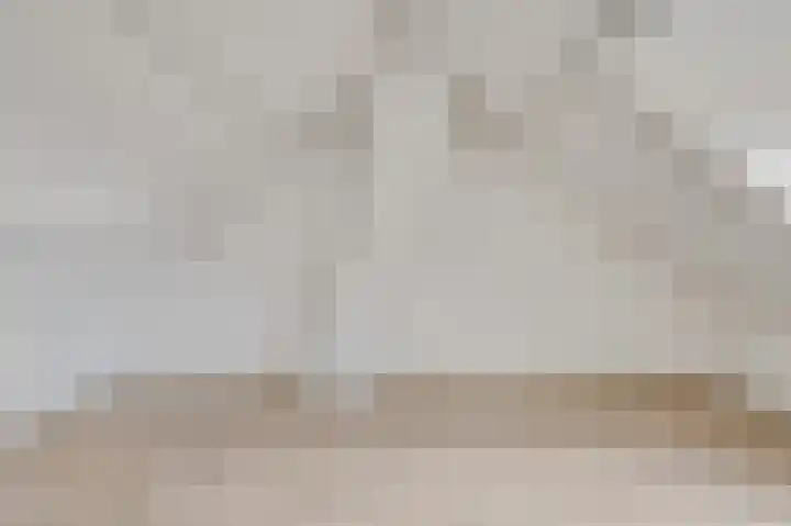 Zilvervoslaan 9 Lunteren thumbnail 34