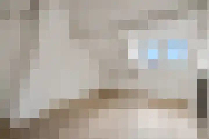 Zilvervoslaan 9 Lunteren thumbnail 35