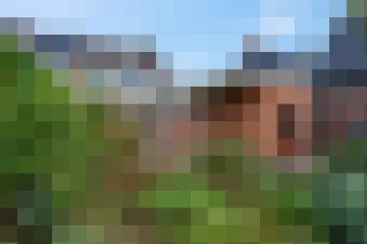 Zilvervoslaan 9 Lunteren thumbnail 39
